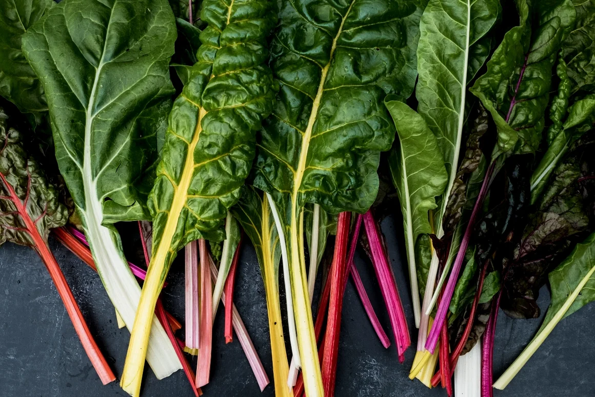 Bunte Mangold Stiele